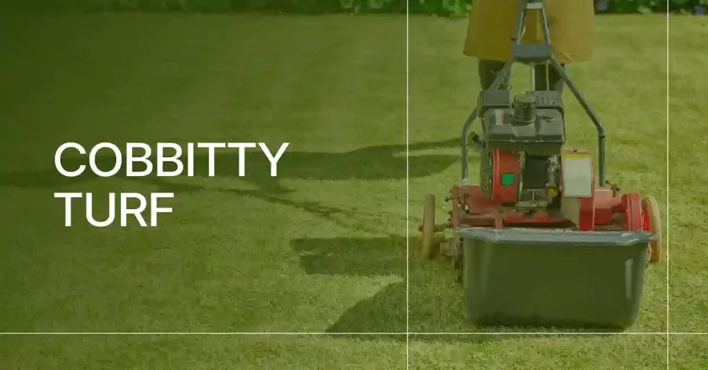 cobbitty turf